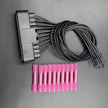 Amazon.com: LIZAPUS Ignition Coil Module ICM Connector